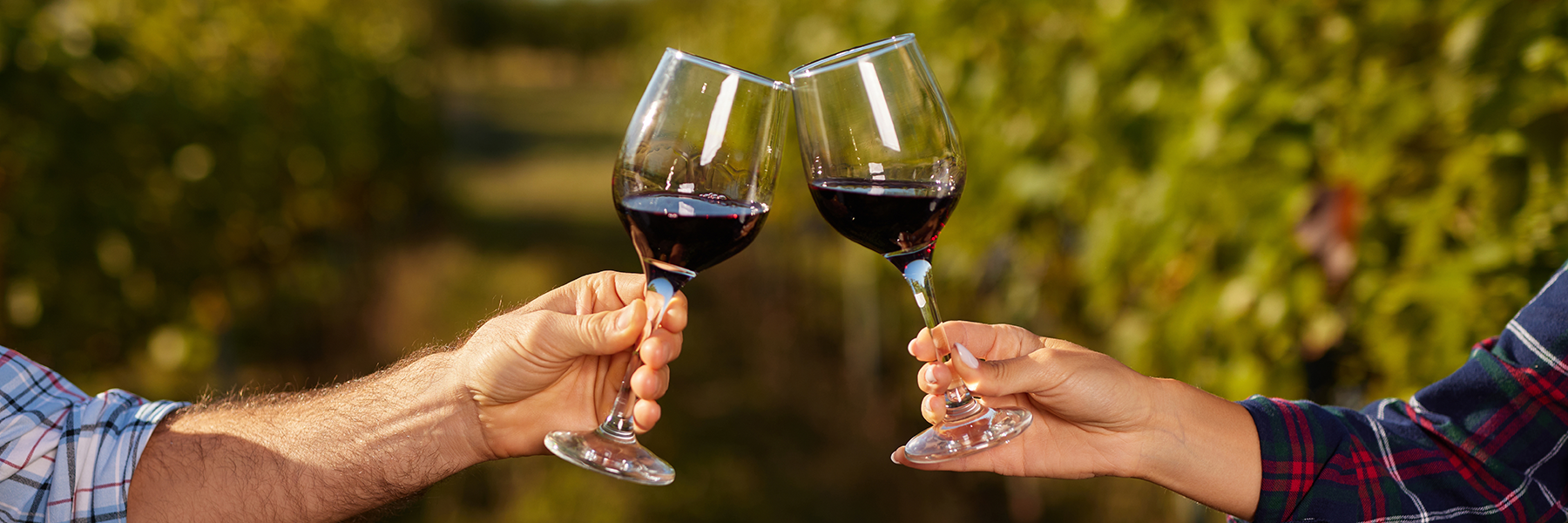 How To Buy Wine Online
