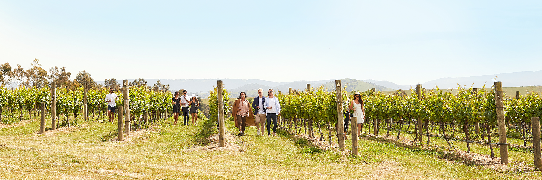 Get Wines Direct Terms And Conditions